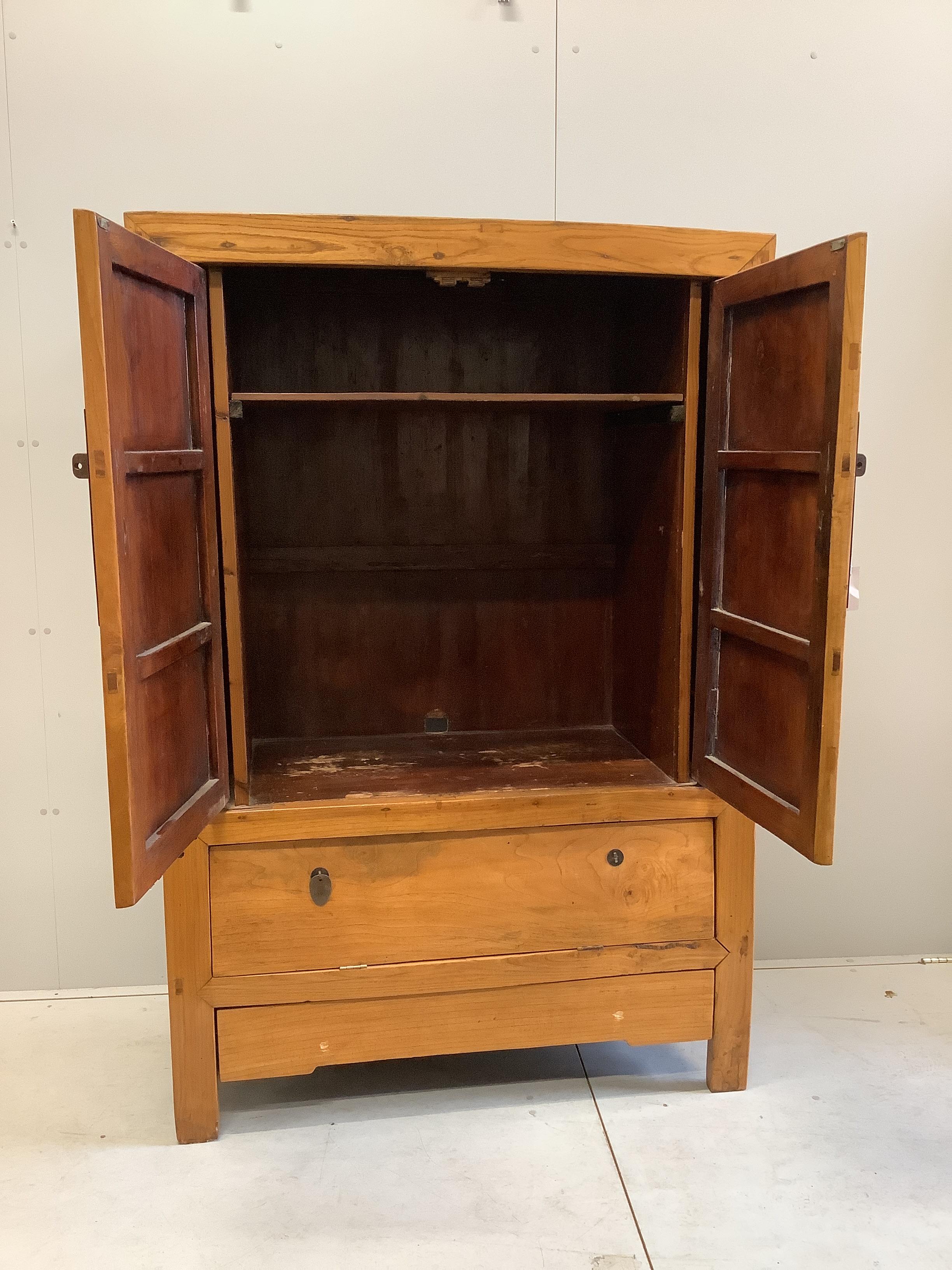 A Chinese elm cabinet, width 115cm, depth 55cm, height 169cm